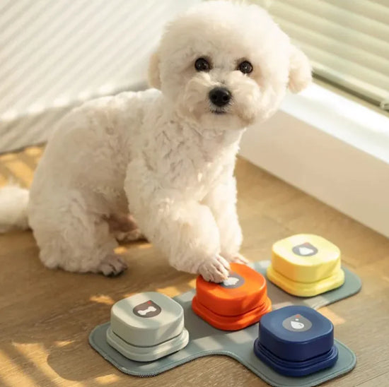 Smart Pet Puzzle Toy