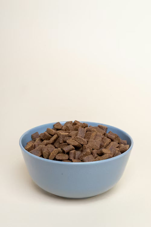 Premium Crunchy Dog Food