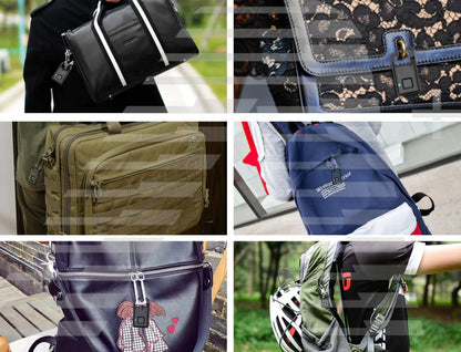 Fingerprint Smart Lock for Doors and Luggage